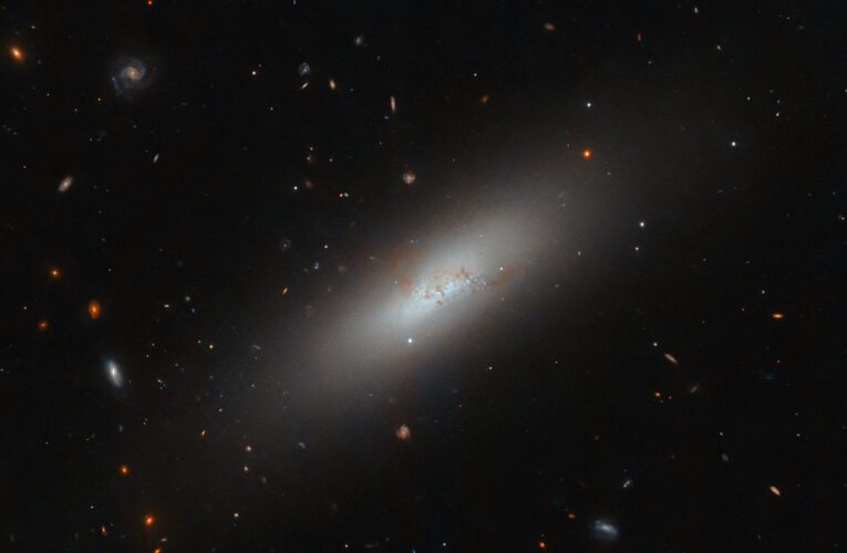 Teleskop Hubble'a odkrył galaktykę karłowatą IC 3430  Foto: materiały prasowe / ESA/Hubble & NASA, M. Sun