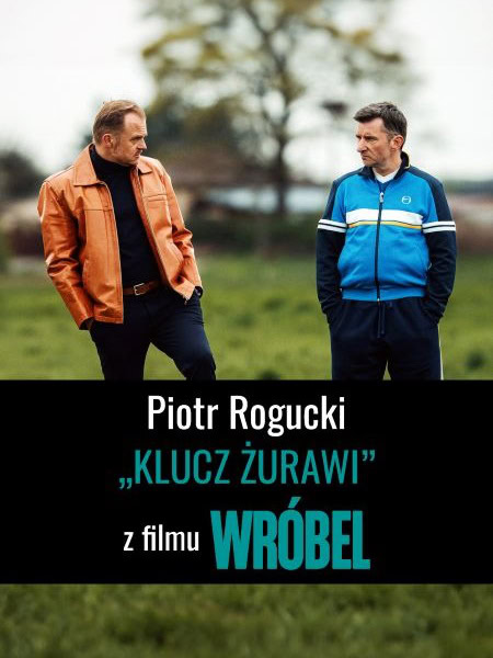 Premiera teledysku do piosenki Piotra Roguckiego z filmu „Wróbel”  Foto: materiały prasowe / Next Film