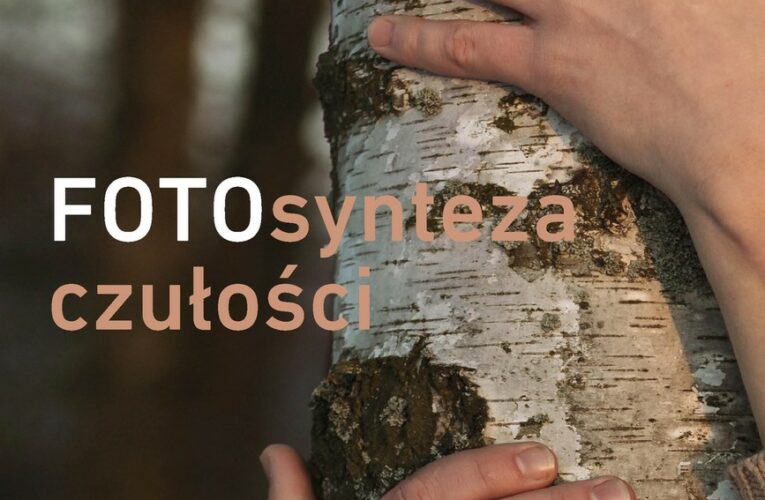 fotosynteza czułości  Foto: 