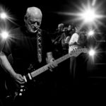 David Gilmour na żywo… w kinie! Legenda rocka powraca w wielkim stylu  Foto: materiały prasowe / Sony Music Polska