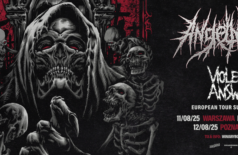 ANGELMAKER - FB HEADER - WSPÓLNE  Foto: 
