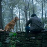 „Good Boy” w kinach już od 31 października. 5 ciekawostek o horrorze w reżyserii Bena Leonberga, w którym główną rolę zagrał… pies! Foto: materiały prasowe / Monolith Films „Good Boy” w kinach już od 31 października. 5 ciekawostek o horrorze w reżyserii Bena Leonberga, w którym główną rolę zagrał… pies!  Foto: materiały prasowe / Monolith Films