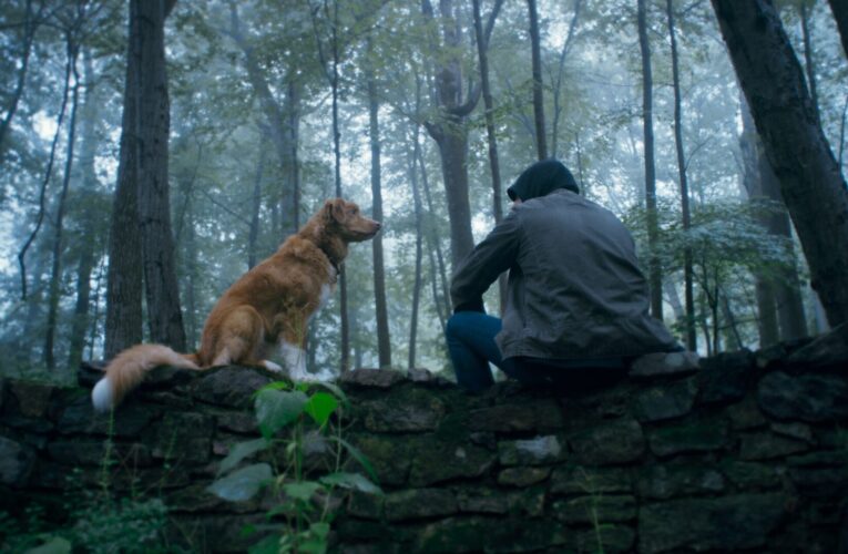 „Good Boy” w kinach już od 31 października. 5 ciekawostek o horrorze w reżyserii Bena Leonberga, w którym główną rolę zagrał… pies! Foto: materiały prasowe / Monolith Films „Good Boy” w kinach już od 31 października. 5 ciekawostek o horrorze w reżyserii Bena Leonberga, w którym główną rolę zagrał… pies!  Foto: materiały prasowe / Monolith Films