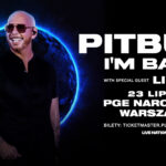 Pitbull  Foto: 
