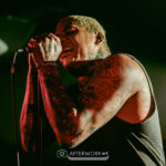 Ekkstacy | 24.11.2025 | Hybrydy  Foto: © Paulina Pasturczak