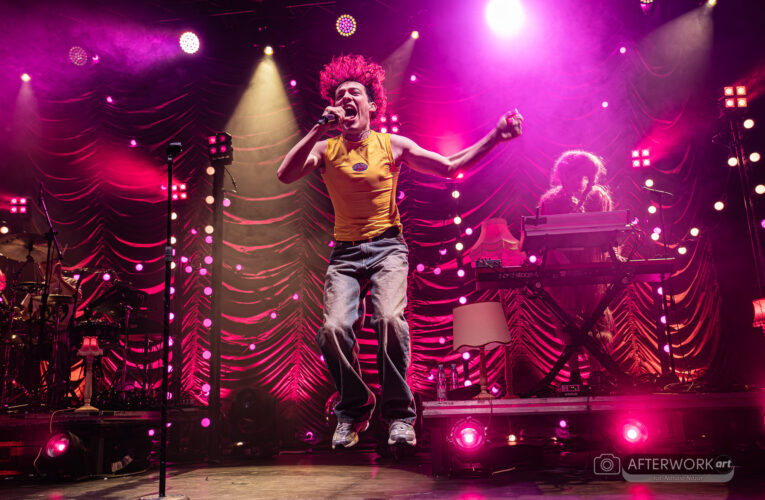 Nemo | fot. Natalia Nazar  Foto: fot. Natalia Nazar