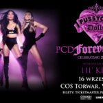 the pussycat dolls  Foto: 
