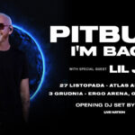 pitbull  Foto: 