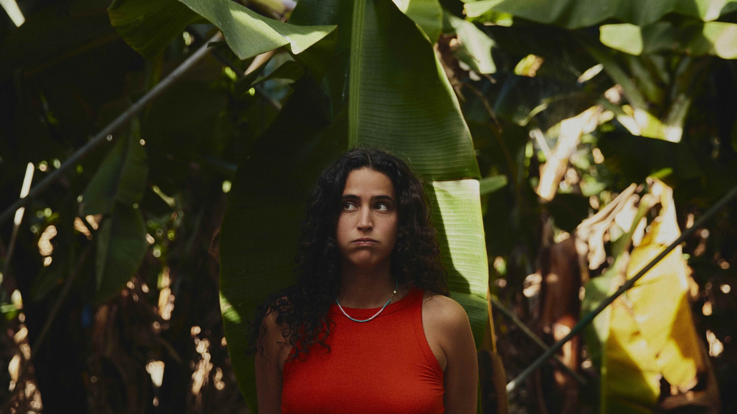 Devendra Banhart, fot. Louie Jacob  Foto: 