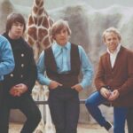 Od „Wouldn’t It Be Nice” do muzycznej rewolucji – „Pet Sounds” kończy 60 lat  Foto: materiały prasowe / Universal Music Polska